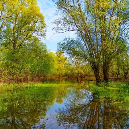 Alandblick Alojamento de Turismo Rural *