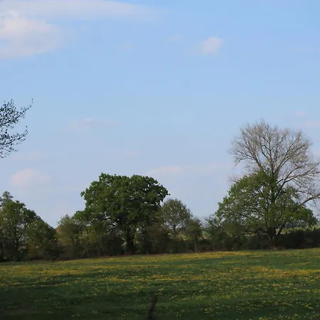 مزرعة للإقامة Alandblick Wanzer